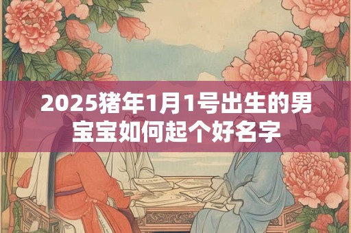 2025猪年1月1号出生的男宝宝如何起个好名字 2025猪年1月1号出生的男宝宝如何起个好名字