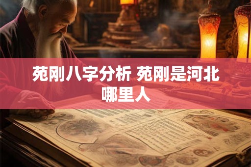 苑刚八字分析 苑刚是河北哪里人