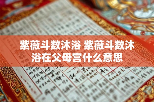 紫薇斗数沐浴 紫薇斗数沐浴在父母宫什么意思
