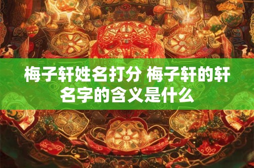 梅子轩姓名打分 梅子轩的轩名字的含义是什么