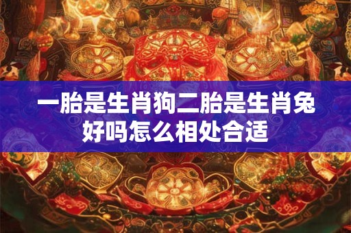 一胎是生肖狗二胎是生肖兔好吗怎么相处合适 一胎是生肖狗二胎是生肖兔好吗怎么相处合适
