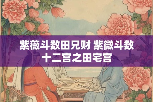 紫薇斗数田兄财 紫微斗数十二宫之田宅宫