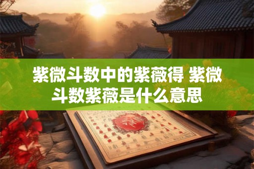紫微斗数中的紫薇得 紫微斗数紫薇是什么意思