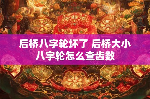 后桥八字轮坏了 后桥大小八字轮怎么查齿数