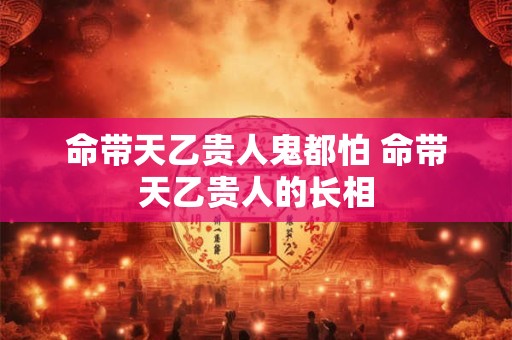 命带天乙贵人鬼都怕 命带天乙贵人的长相