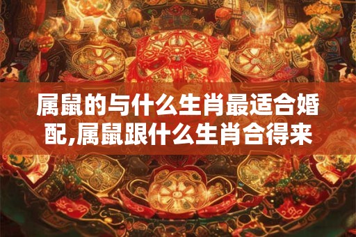 属鼠的与什么生肖最适合婚配,属鼠跟什么生肖合得来