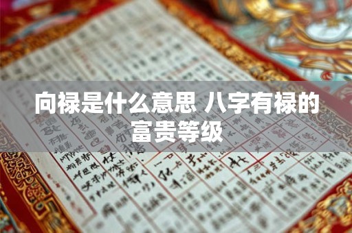 向禄是什么意思 八字有禄的富贵等级 向禄是什么意思 八字有禄的富贵等级