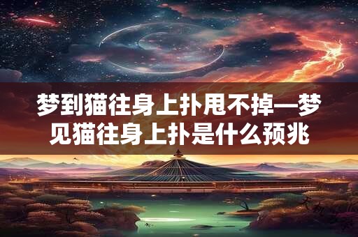 梦到猫往身上扑甩不掉—梦见猫往身上扑是什么预兆