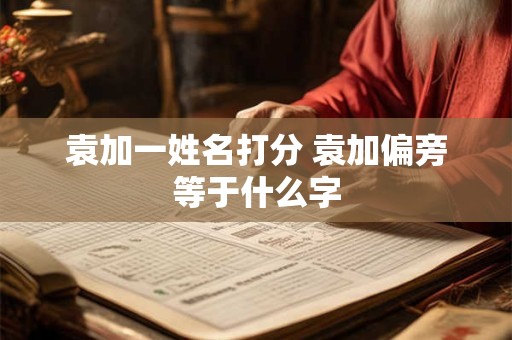袁加一姓名打分 袁加偏旁等于什么字