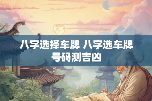 八字选择车牌 八字选车牌号码测吉凶