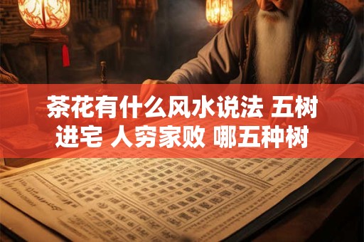 茶花有什么风水说法 五树进宅 人穷家败 哪五种树