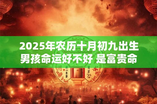 2025年农历十月初九出生男孩命运好不好 是富贵命吗