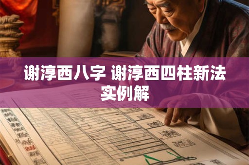 谢淳西八字 谢淳西四柱新法实例解