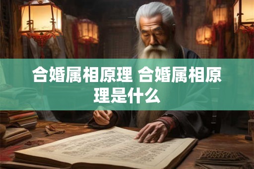 合婚属相原理 合婚属相原理是什么