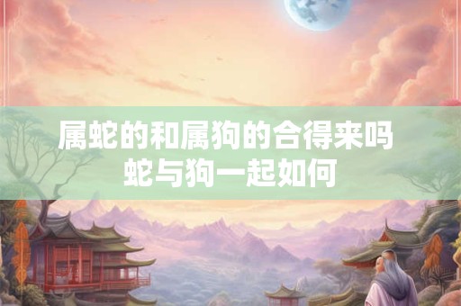 属蛇的和属狗的合得来吗 蛇与狗一起如何