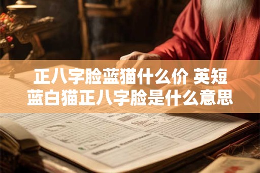 正八字脸蓝猫什么价 英短蓝白猫正八字脸是什么意思