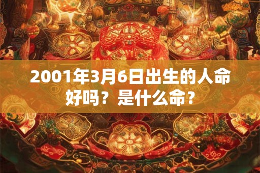 2001年3月6日出生的人命好吗？是什么命？