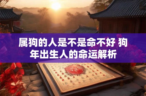 属狗的人是不是命不好 狗年出生人的命运解析