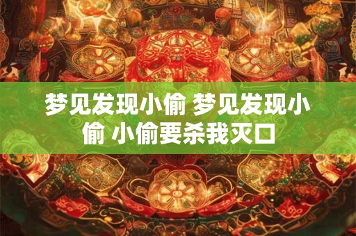 梦见发现小偷 梦见发现小偷 小偷要杀我灭口
