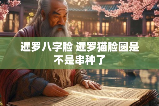 暹罗八字脸 暹罗猫脸圆是不是串种了