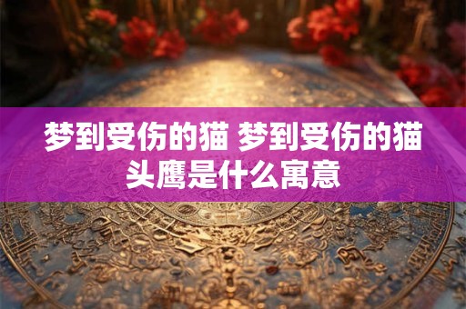 梦到受伤的猫 梦到受伤的猫头鹰是什么寓意
