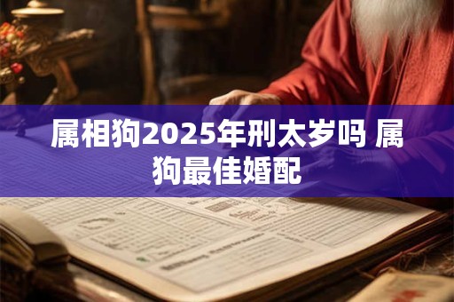 属相狗2025年刑太岁吗 属狗最佳婚配