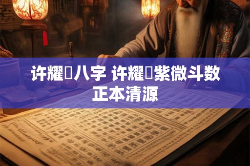 许耀焜八字 许耀焜紫微斗数正本清源