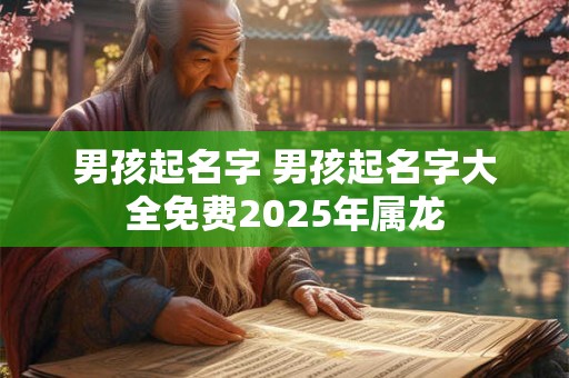 男孩起名字 男孩起名字大全免费2025年属龙