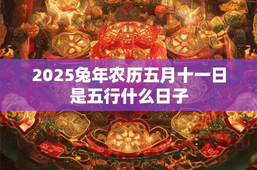 2025兔年农历五月十一日是五行什么日子