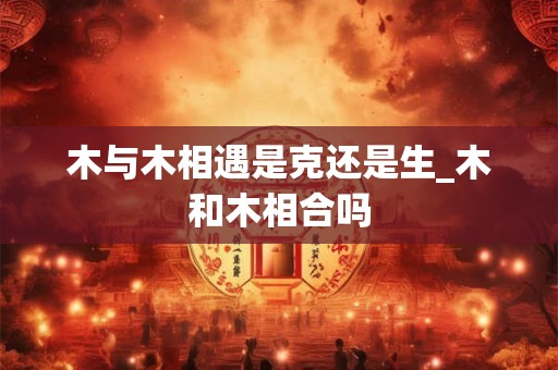 木与木相遇是克还是生_木和木相合吗