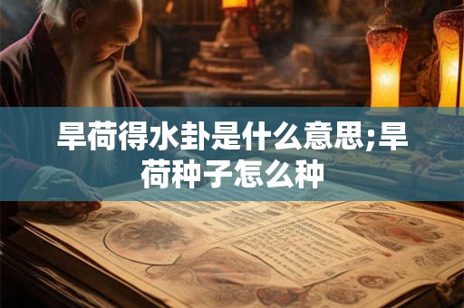 旱荷得水卦是什么意思;旱荷种子怎么种