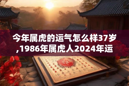 今年属虎的运气怎么样37岁,1986年属虎人2024年运势女性