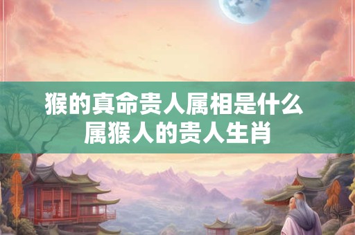 猴的真命贵人属相是什么 属猴人的贵人生肖