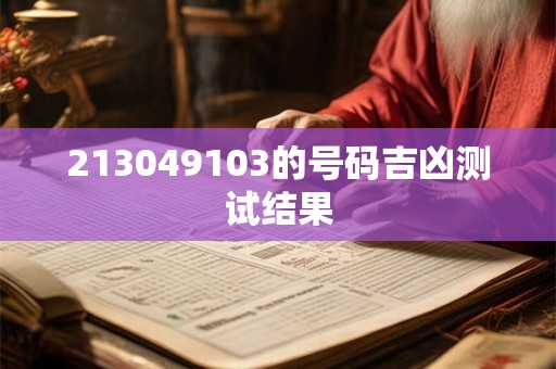213049103的号码吉凶测试结果