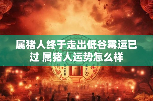 属猪人终于走出低谷霉运已过 属猪人运势怎么样