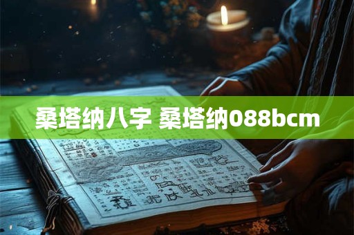 桑塔纳八字 桑塔纳088bcm