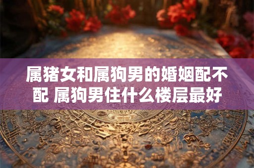 属猪女和属狗男的婚姻配不配 属狗男住什么楼层最好