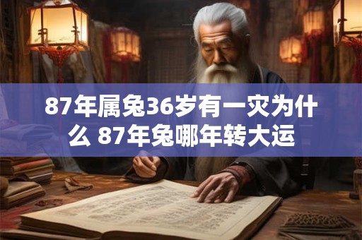 87年属兔36岁有一灾为什么 87年兔哪年转大运