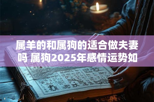 属羊的和属狗的适合做夫妻吗 属狗2025年感情运势如何