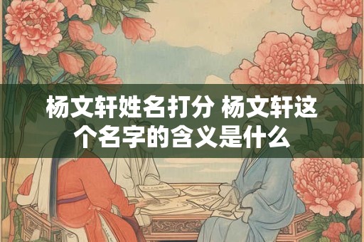 杨文轩姓名打分 杨文轩这个名字的含义是什么