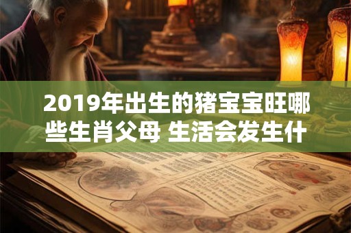2019年出生的猪宝宝旺哪些生肖父母 生活会发生什么变化