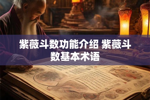 紫薇斗数功能介绍 紫薇斗数基本术语