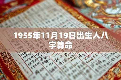 1955年11月19日出生人八字算命