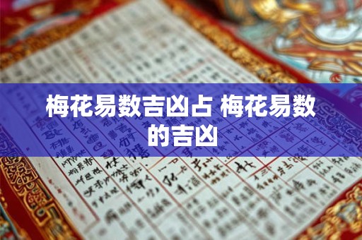 梅花易数吉凶占 梅花易数的吉凶