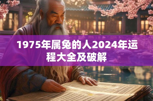 1975年属兔的人2024年运程大全及破解
