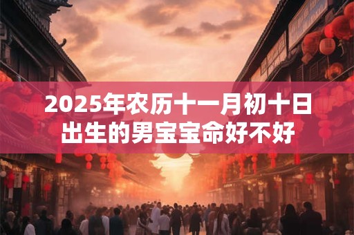 2025年农历十一月初十日出生的男宝宝命好不好