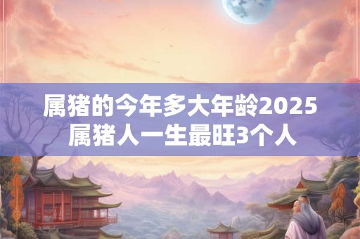 属猪的今年多大年龄2026 属猪人一生最旺3个人 属猪的今年多大年龄2026 属猪人一生最旺3个人
