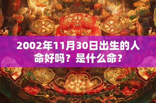 2002年11月30日出生的人命好吗？是什么命？