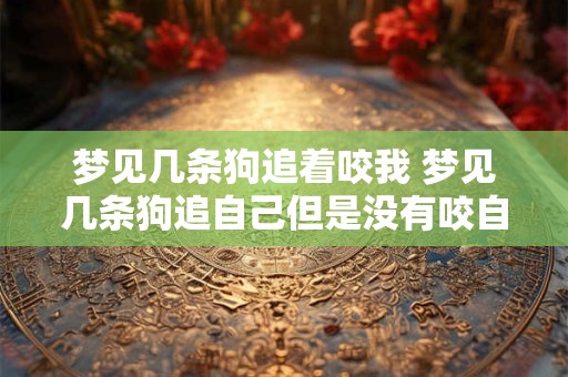 梦见几条狗追着咬我 梦见几条狗追自己但是没有咬自己 而且又怕自己