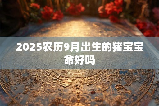 2025农历9月出生的猪宝宝命好吗